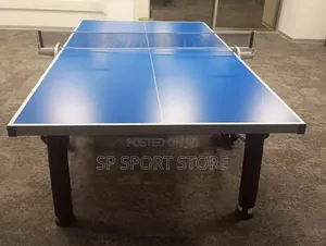 Big Leg Outdoor Table Tennis