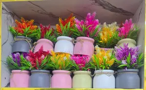 Beautiful Home Flower