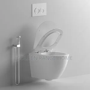Concealed Cistern Watercloset(White)
