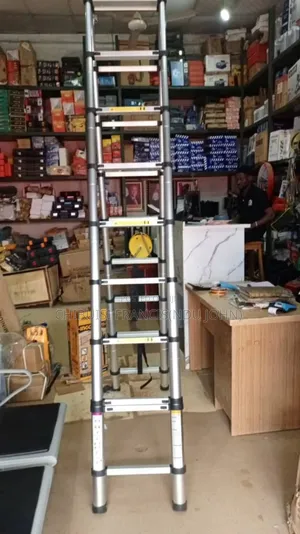 Spring Ladder