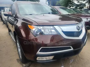 Acura MDX 2010 Brown