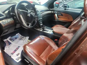 Acura MDX 2010 Brown