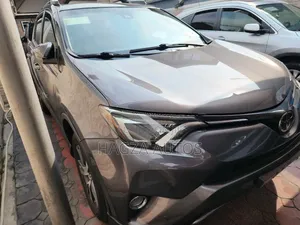 Toyota RAV4 XLE AWD (2.5L 4cyl 6A) 2016 Gray