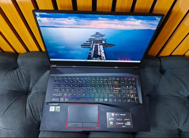 10th Gen Ge75 10se Laptop MSI GE75 Raider 10SE 16GB Intel Core I7