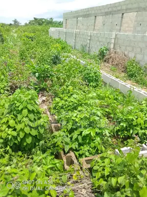 Mini Flat in Dodo Town for sale