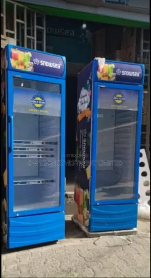 Snowsea Display Standing Chiller Freezer 400l