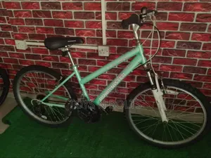 Size 24 Green Roadmaster Bicycle With Front Shocks