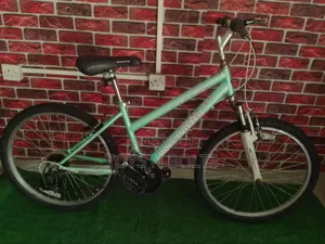 Size 24 Green Roadmaster Bicycle With Front Shocks