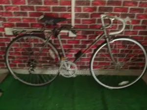 Size 28 Miyata With Aero Handle Bar and Back Carrier
