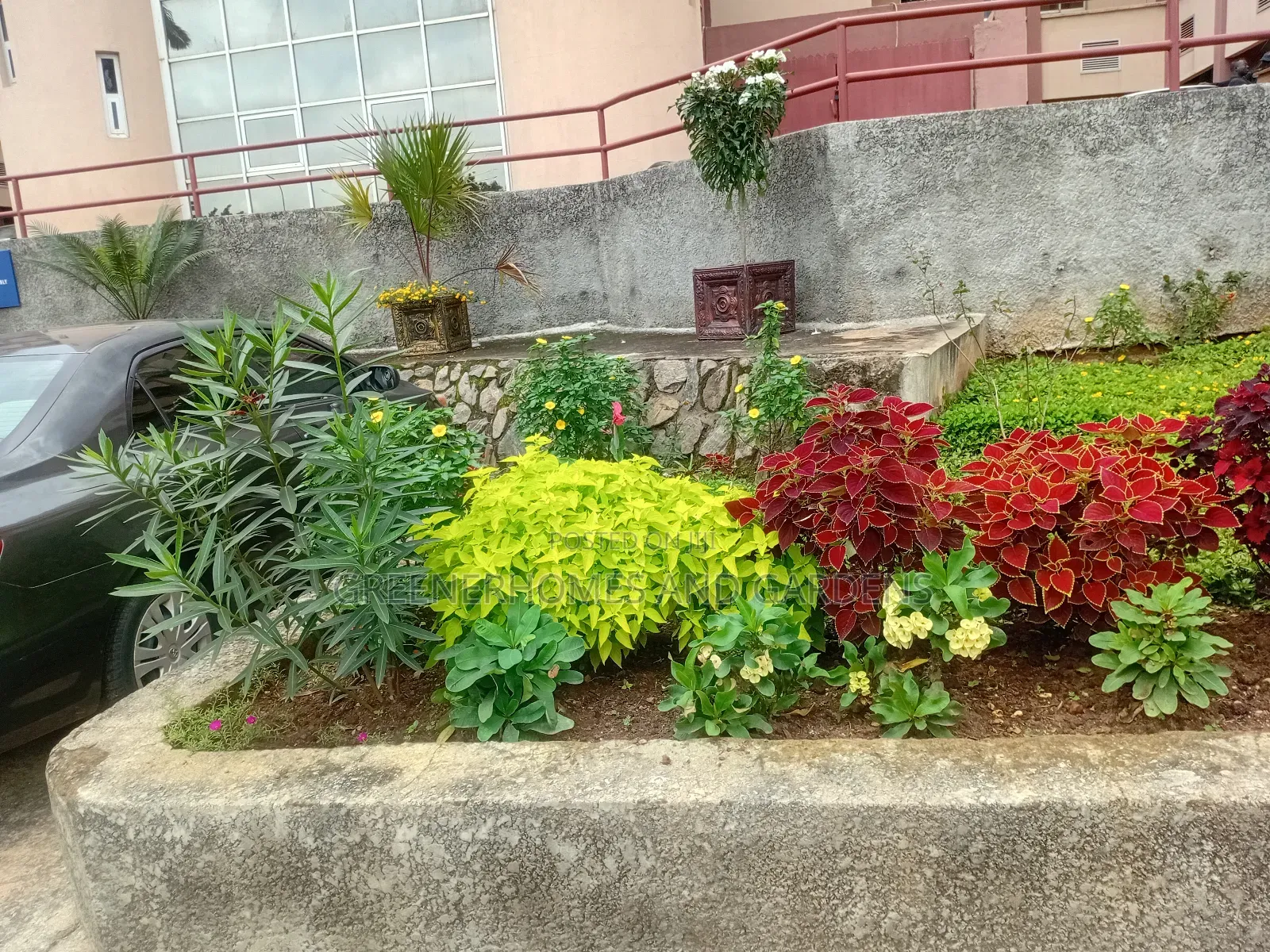 Flowers and Plants