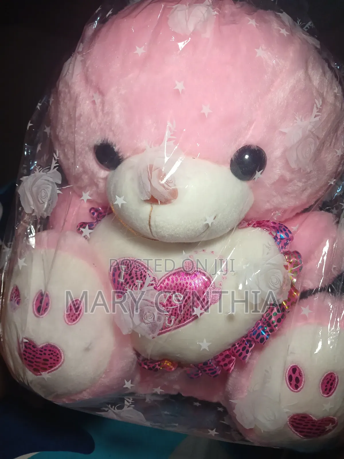 Medium Size Teddy Bear