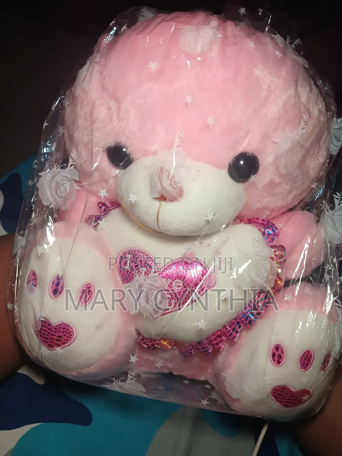 Medium Size Teddy Bear