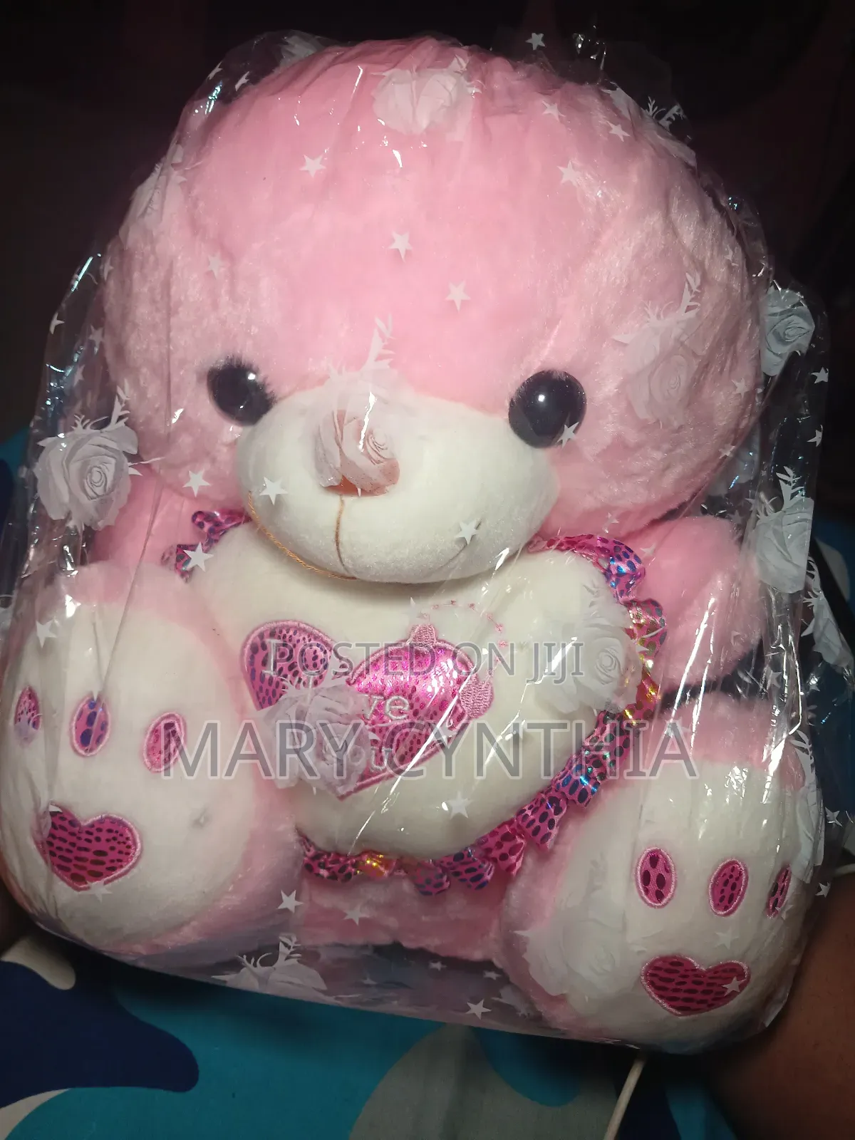 Medium Size Teddy Bear