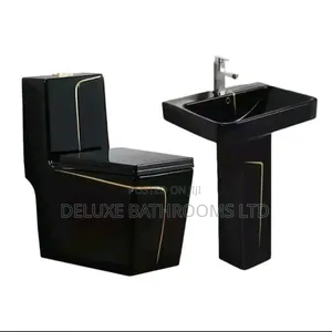 Black Luxury Water Closet