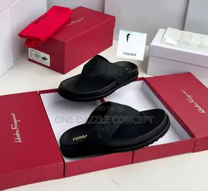 Ferragamo Luxury Slippers