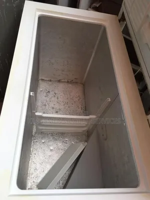 Bosch High Quality Commercial Chest Freezer for Frozen Food Business