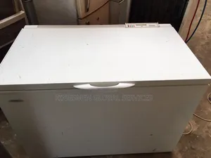 Bosch High Quality Commercial Chest Freezer for Frozen Food Business