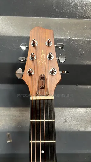 Simger Semi Acoustic Guitar