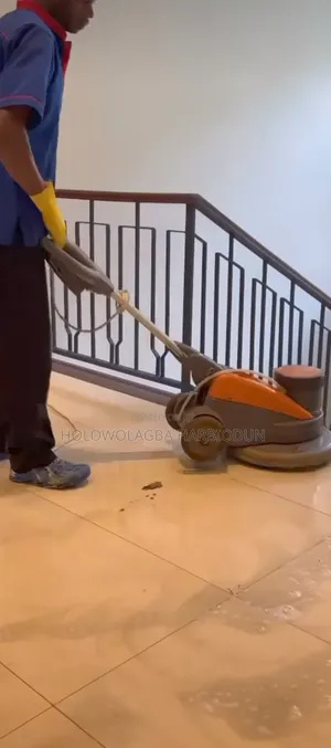 The Professional Cleaning Co