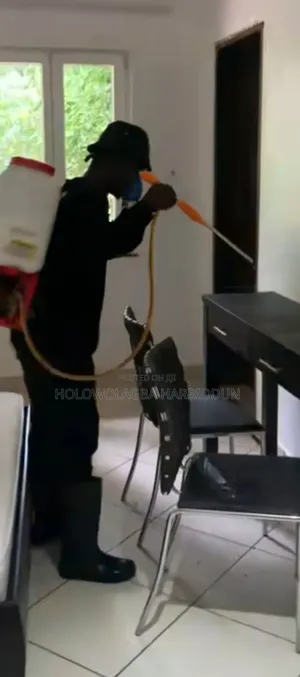 The Professional Cleaning Co