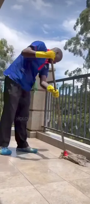 The Professional Cleaning Co
