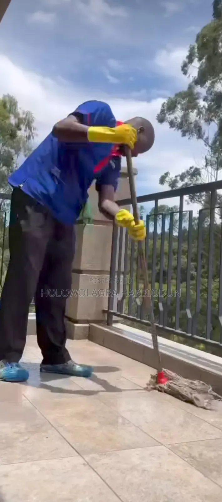 The Professional Cleaning Co