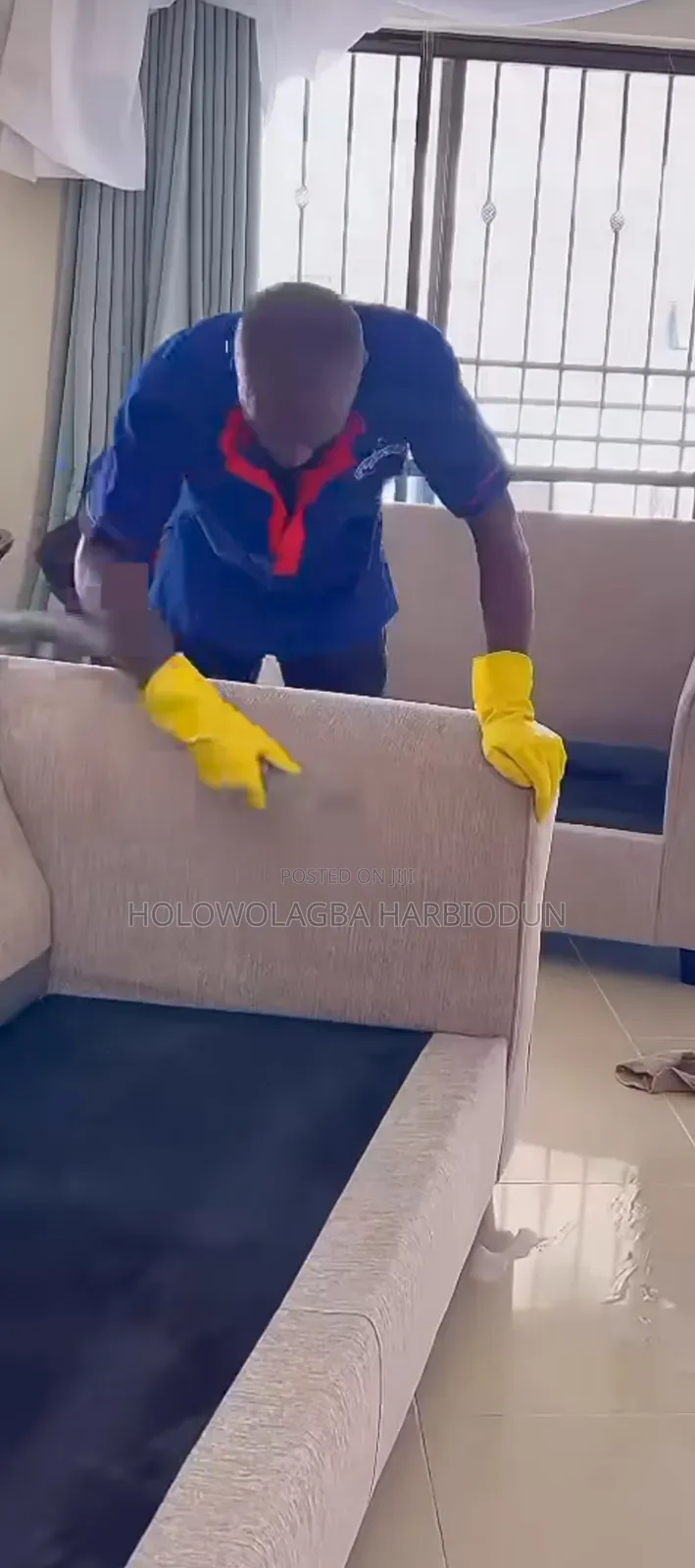 The Professional Cleaning Co
