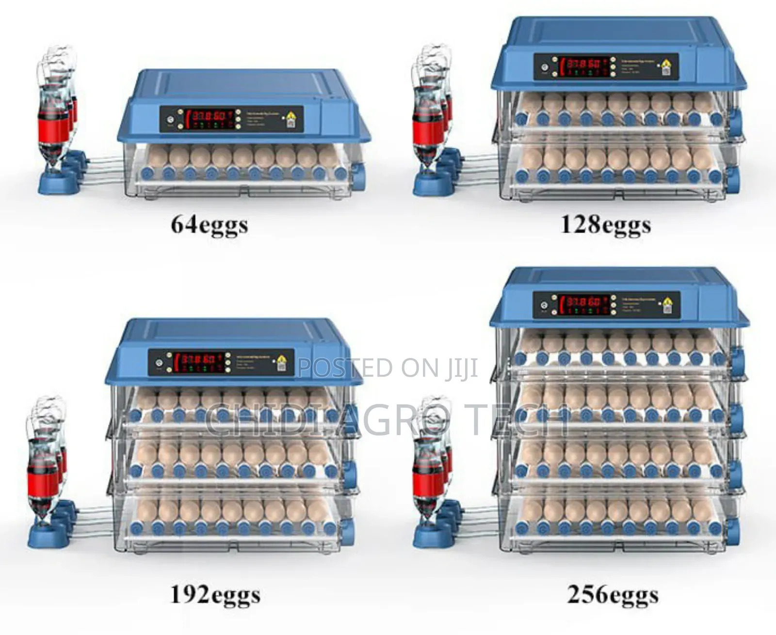 Egg Incubator All Sizes