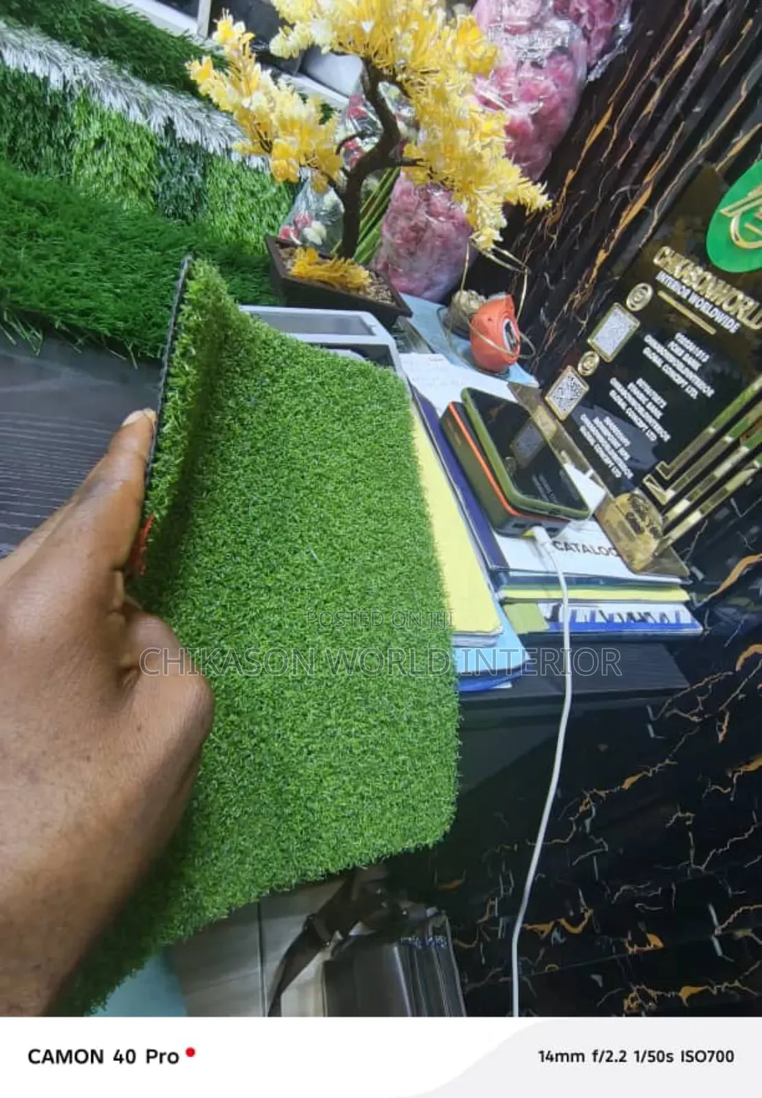 Golf  Grass