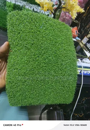 Golf  Grass