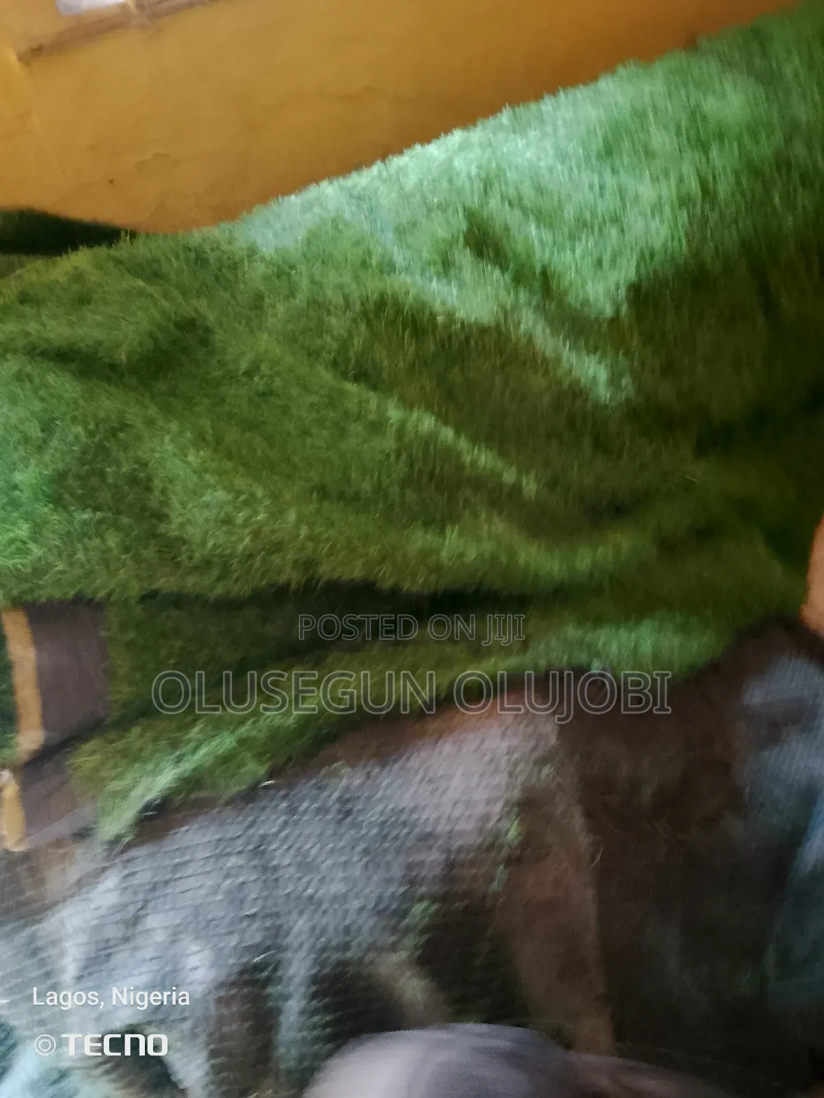 Green Carpet/ Rug For Rent