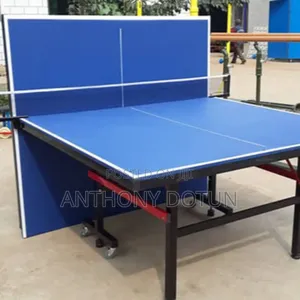 Outdoor Foldable Table Tennis Board With Bat and 3egg