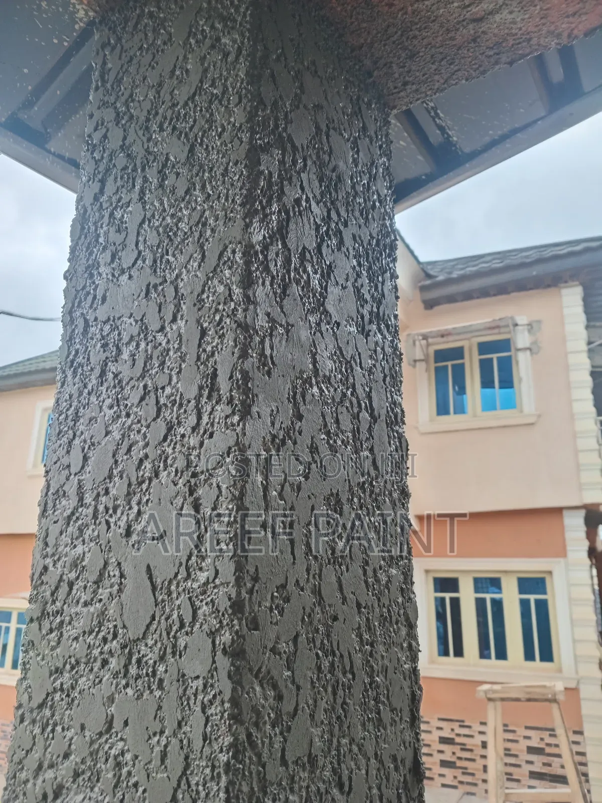 Professional Tyrolean and Painting