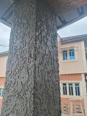 Professional Tyrolean and Painting