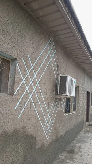 Professional Tyrolean and Painting
