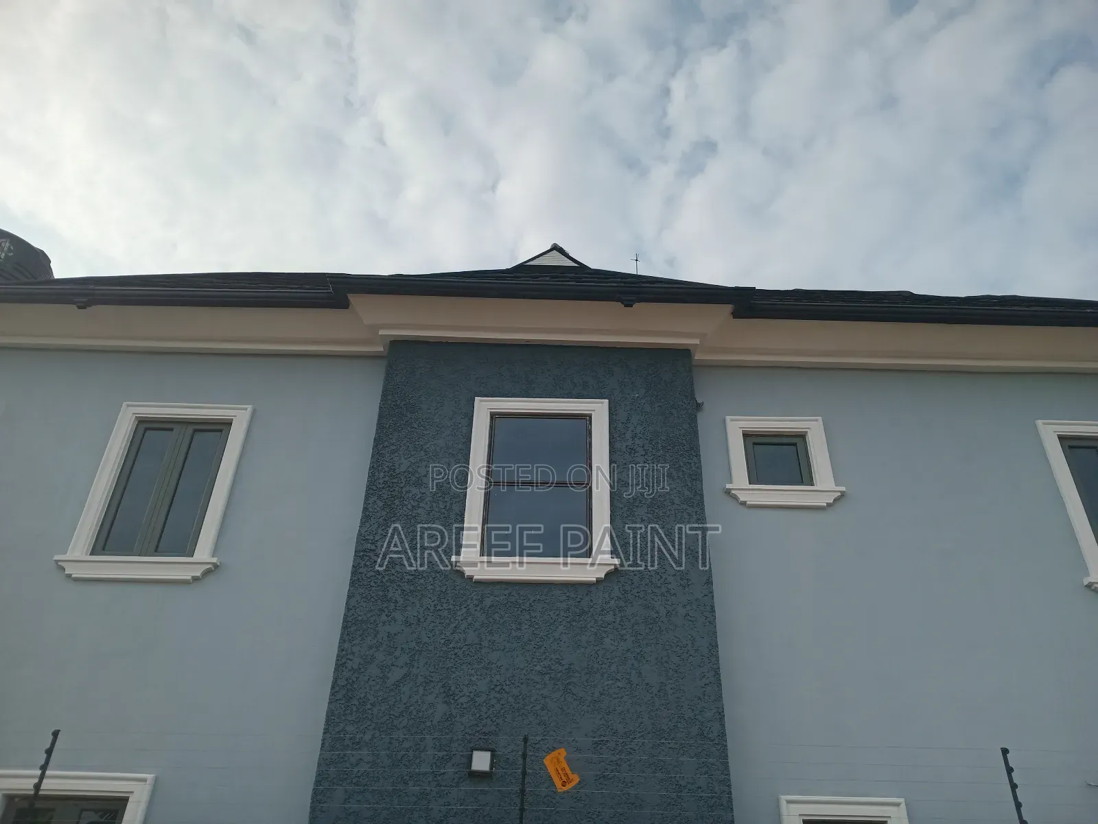 Professional Tyrolean and Painting