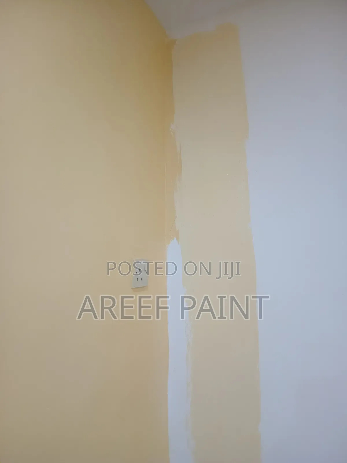 Professional Tyrolean and Painting