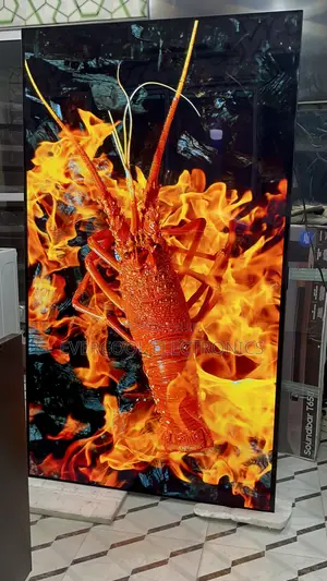 High-End 2024 77” Lg Oled Evo Smart Tv