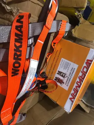Workman Safety Belt With Double Hook