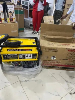Elepaq Sv22000e2 Auto Generator 11kva With Wheels