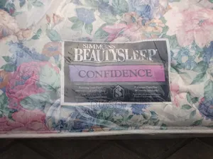 Order for Your Affordable Canadian 4.5x6 Mattress Get 1 Fiber Pillow
