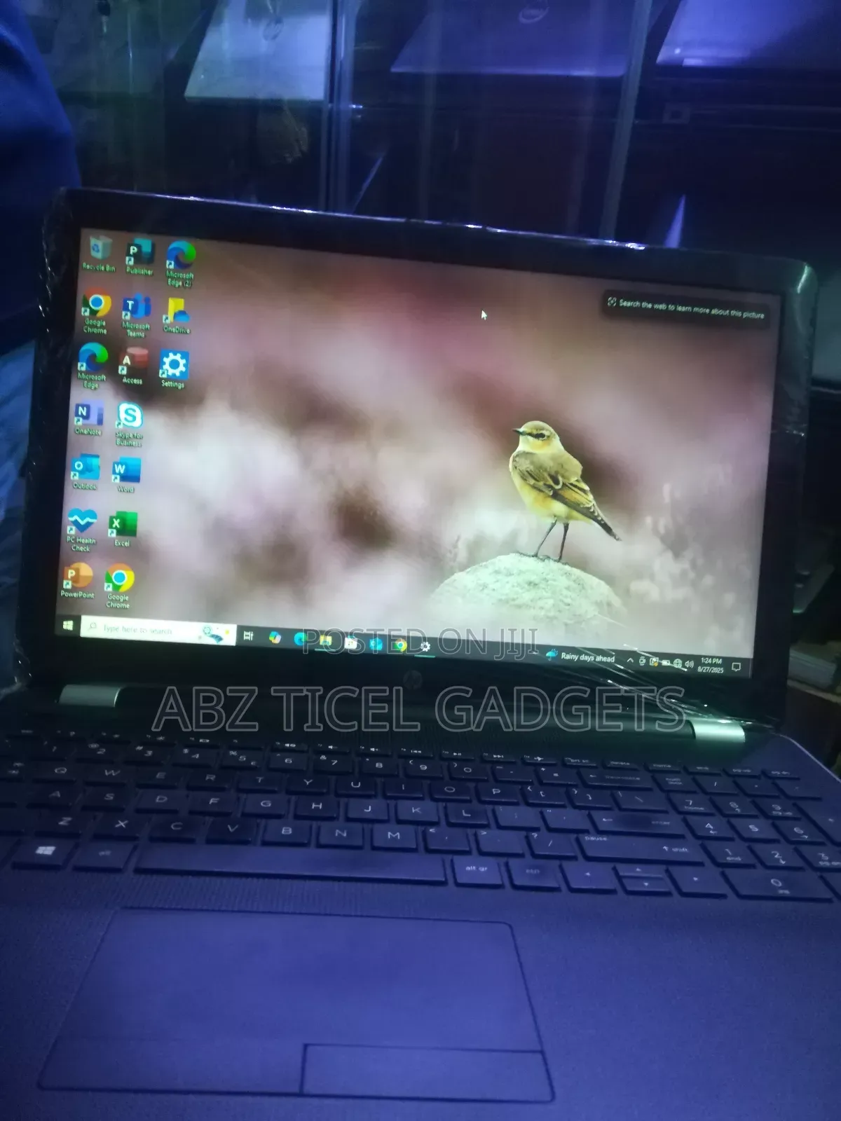 Laptop HP 250 G6 8GB Intel Core i5 SSD 256GB