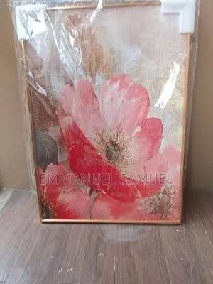 Brand New Art Frame