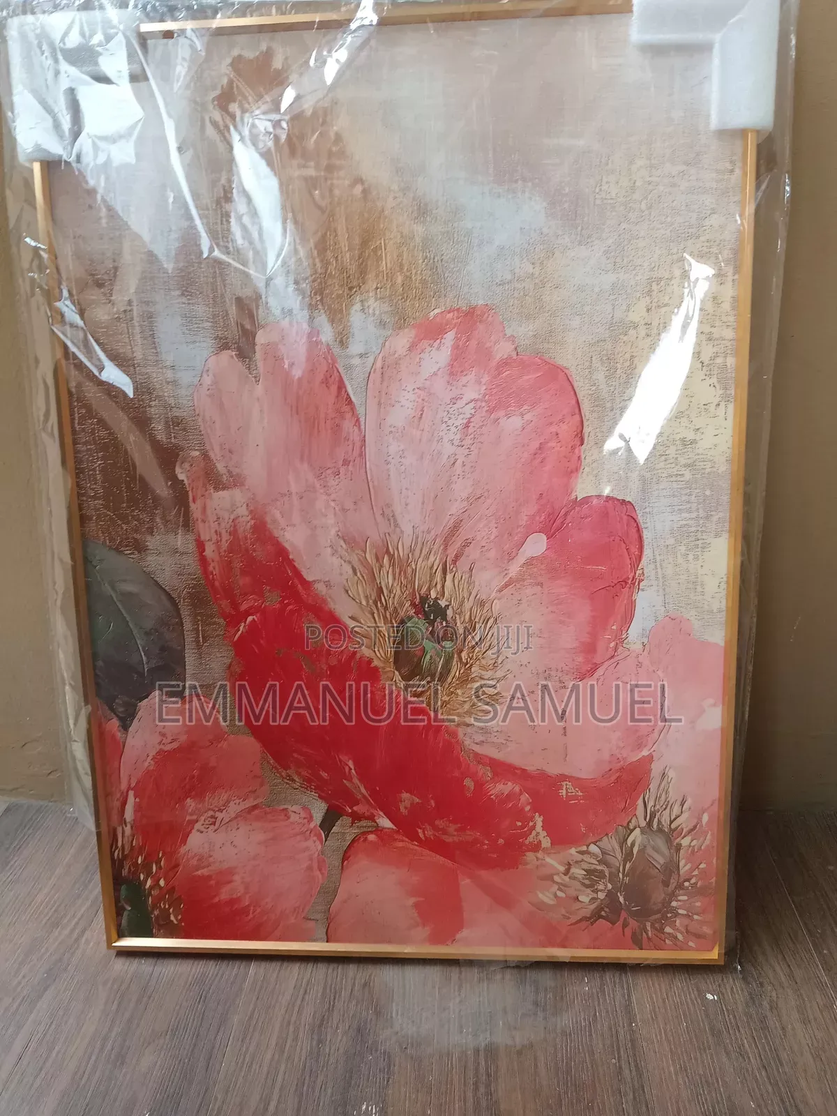 Brand New Art Frame