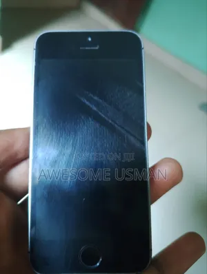 Apple iPhone 5s 16 GB Gray