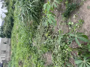 One Plot on the Road Close to Canaanland Winners HQTRS