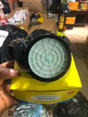 Safety Dust Mask