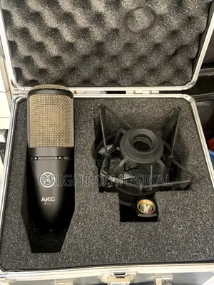 Akg P220 Condenser Microphone