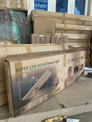 Solar Quality Light 600watts Derik