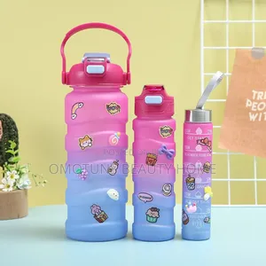 3in1 Water Bottle